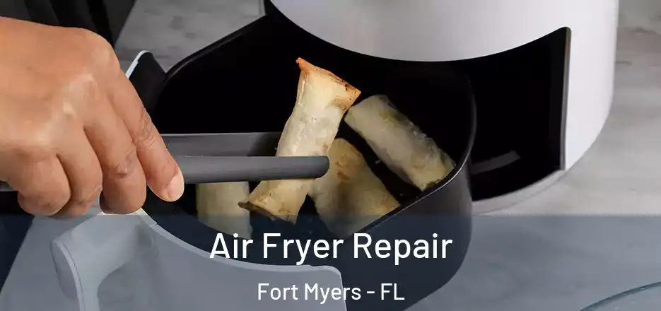 Air Fryer Repair Fort Myers - FL