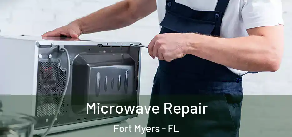 Microwave Repair Fort Myers - FL