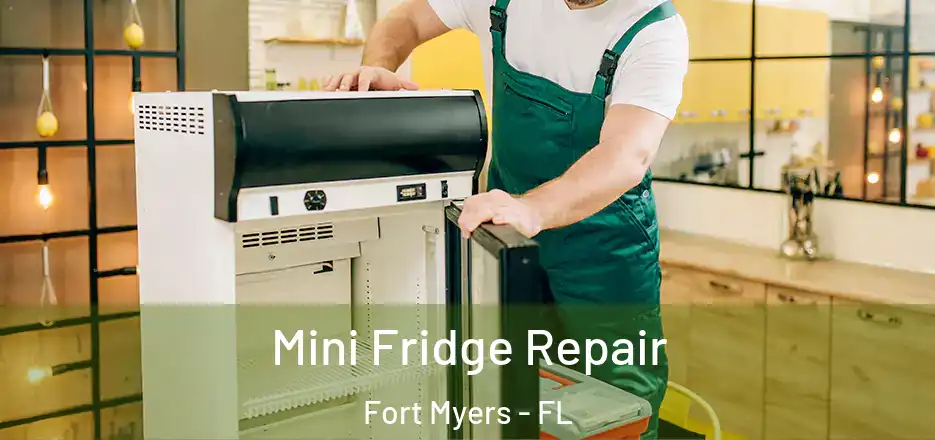 Mini Fridge Repair Fort Myers - FL