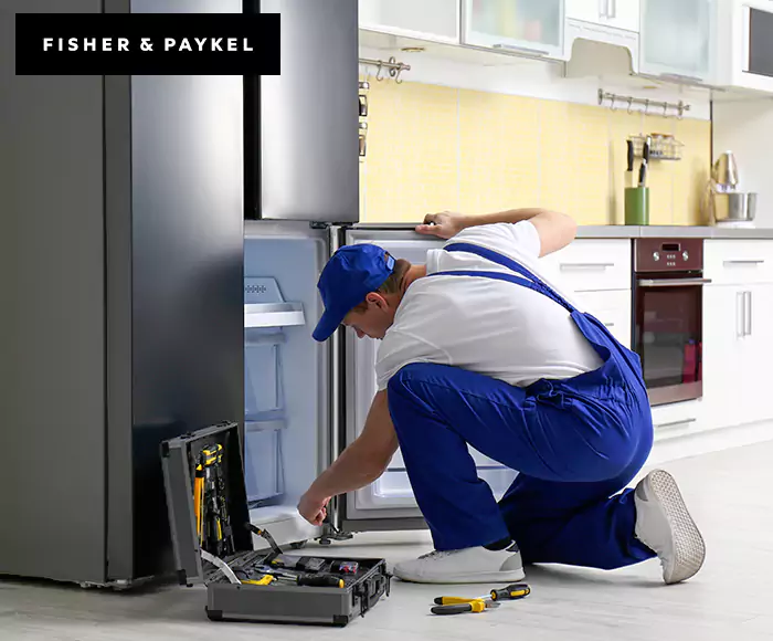 Top-Rated Fisher & Paykel Appliance Experts: Your Brand Specialist in Fort Myers, FL